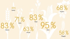 Getreidesorten-Umfrage von chrismon